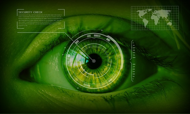security-1163108_640